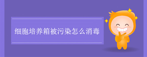 香港精准资料的网站